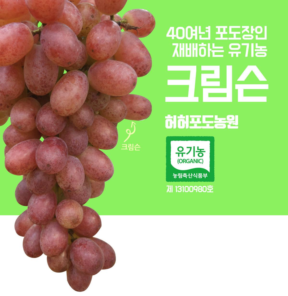 유기농 크림슨 포도 4kg