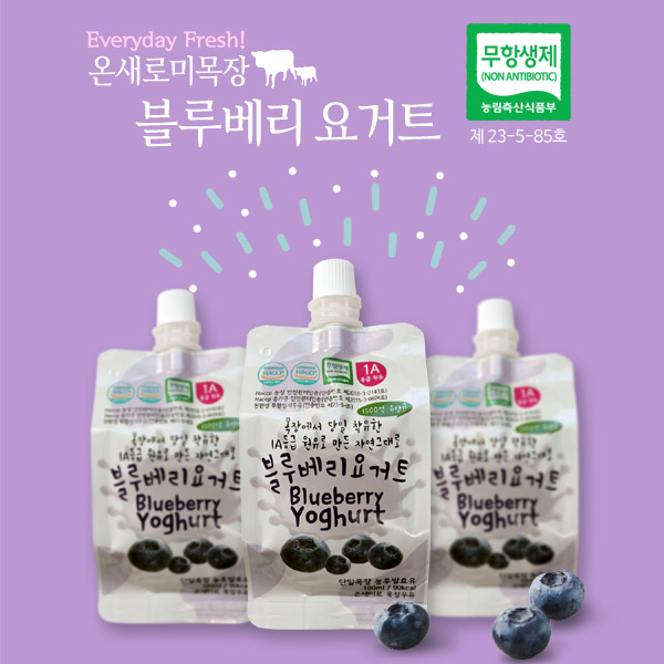 온새미로 목장 블루베리요거트 파우치100ml