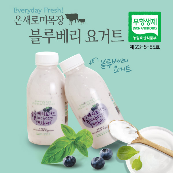 온새미로 목장 블루베리요거트 500ml