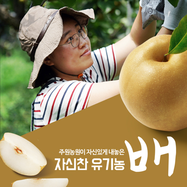 주원농원 유기농 배 선물용 5kg