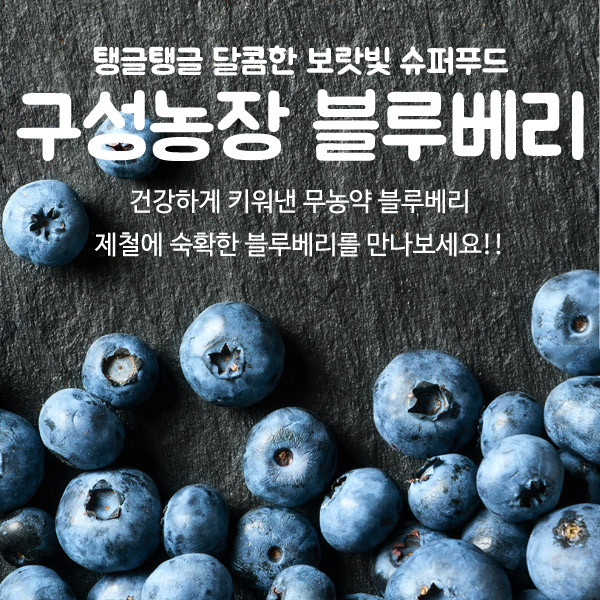 구성농장 블루베리