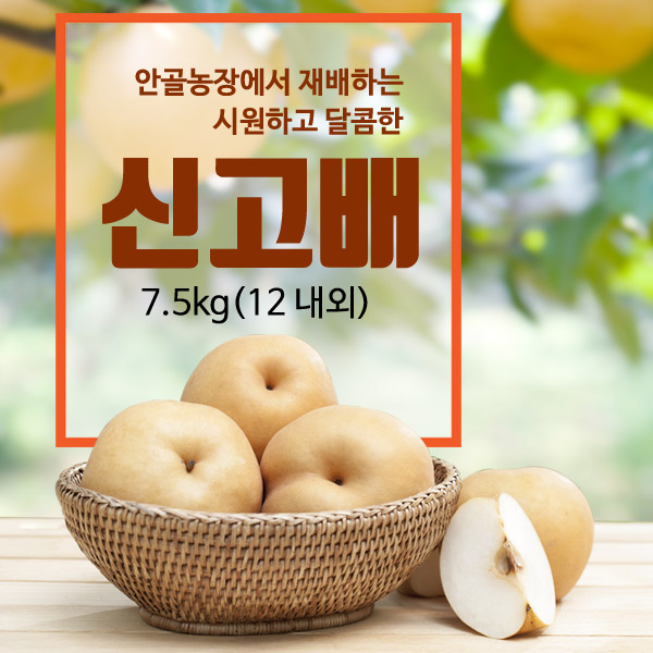 안골 신고배