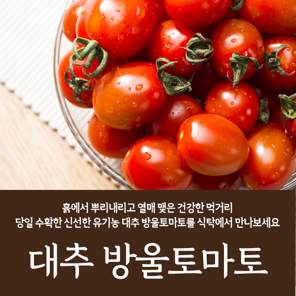 친환경 유기농 대추 방울토마토