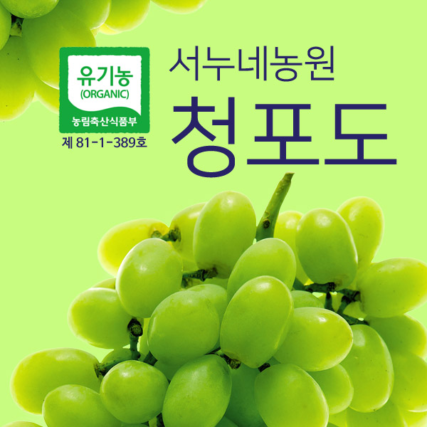 유기농 친환경 청포도 4kg