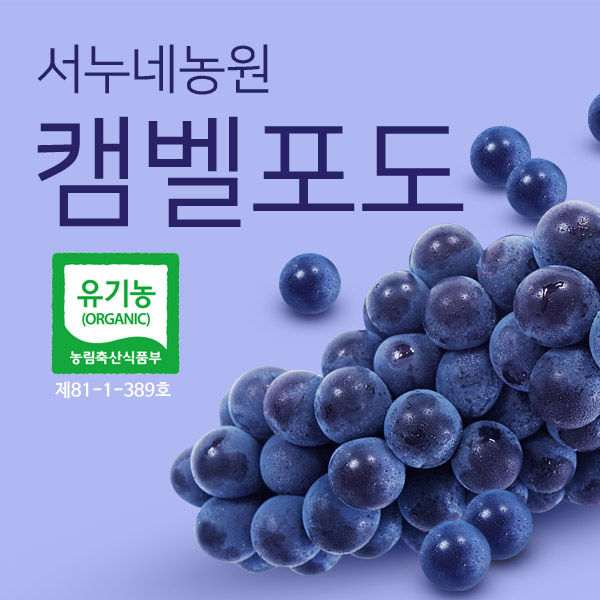 유기농 친환경 캠벨포도 2kg