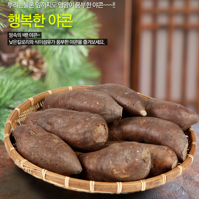 무농약인증 햇야콘 특품 5kg