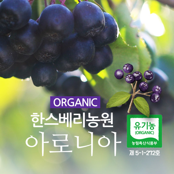 한스베리농원 블랙초크베리(아로니아)