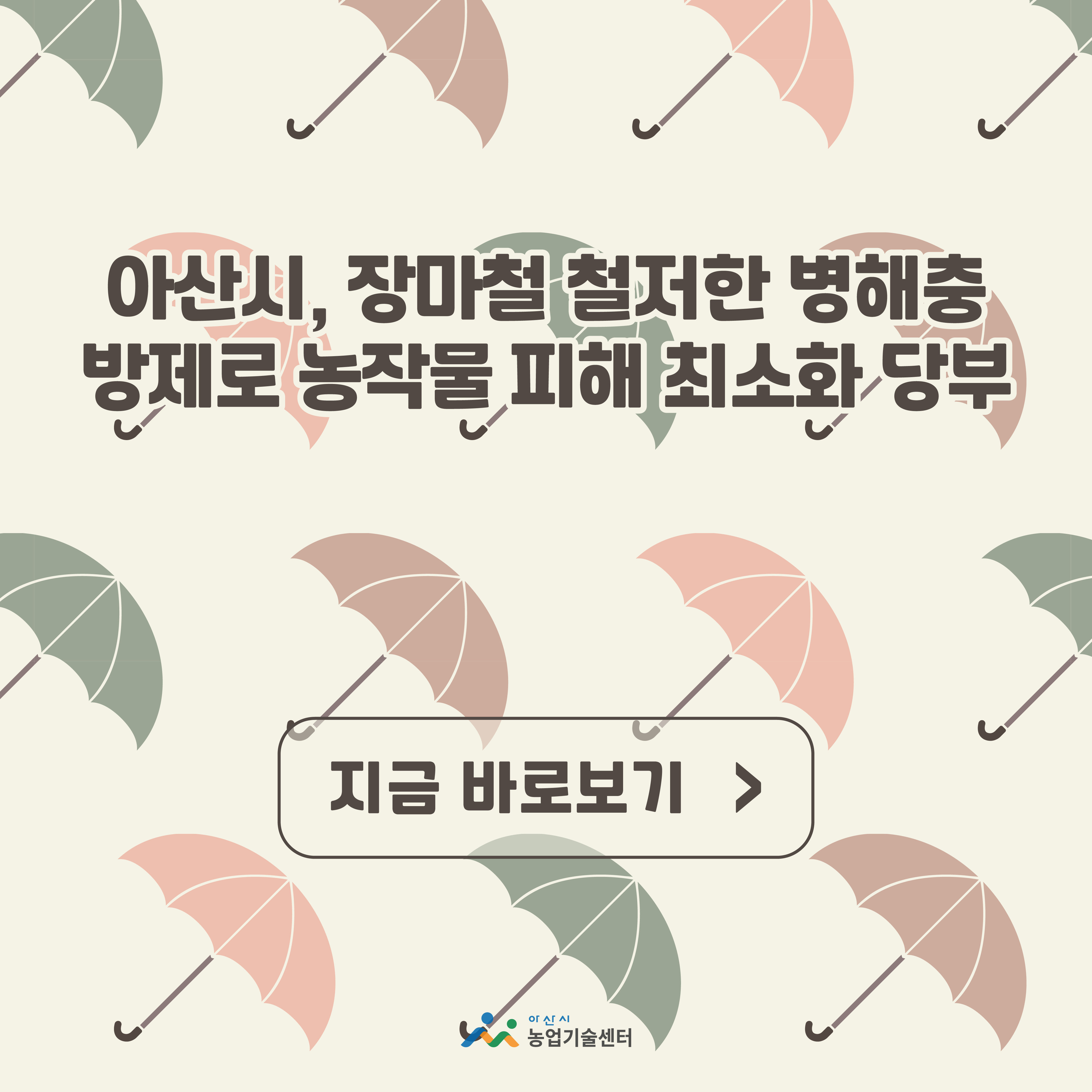아산시, 장마철 철저한 병해충 방제로 농작물 피해 최소화 당부