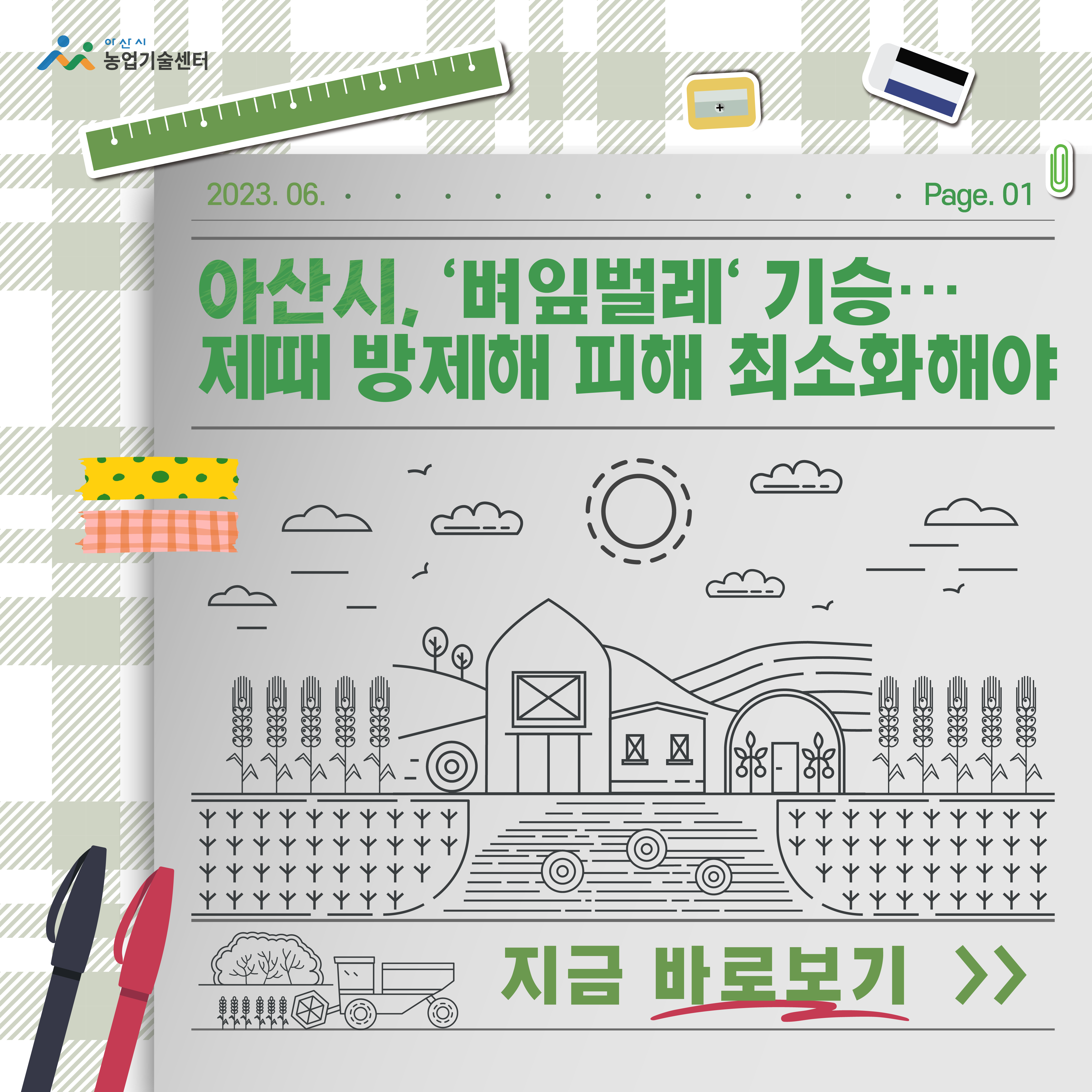 아산시, '벼잎벌레' 기승…