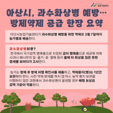 아산시, 과수화상병 예방… 방제약제 3월 7일까지 농가별 배송