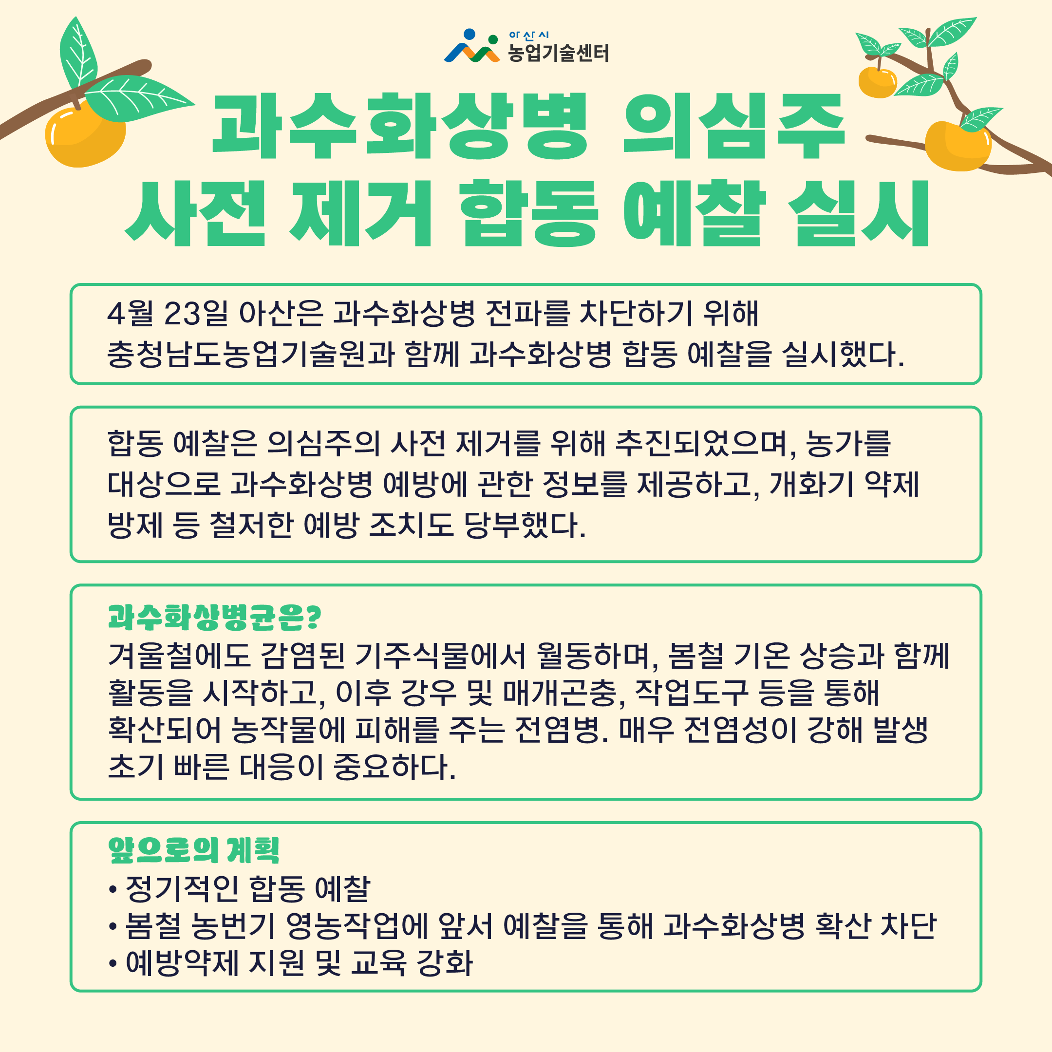 아산시, ‘과수화상병 의심주’ 사전 제거 합동 예찰 실시 한장 요약