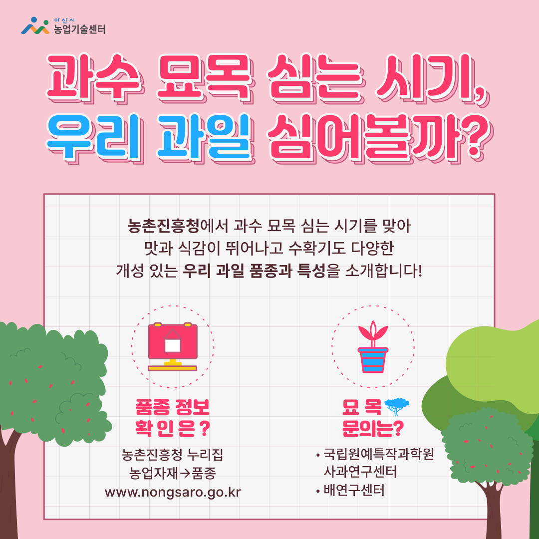과수 묘목 심는 시기, 우리 과일 심어볼까?