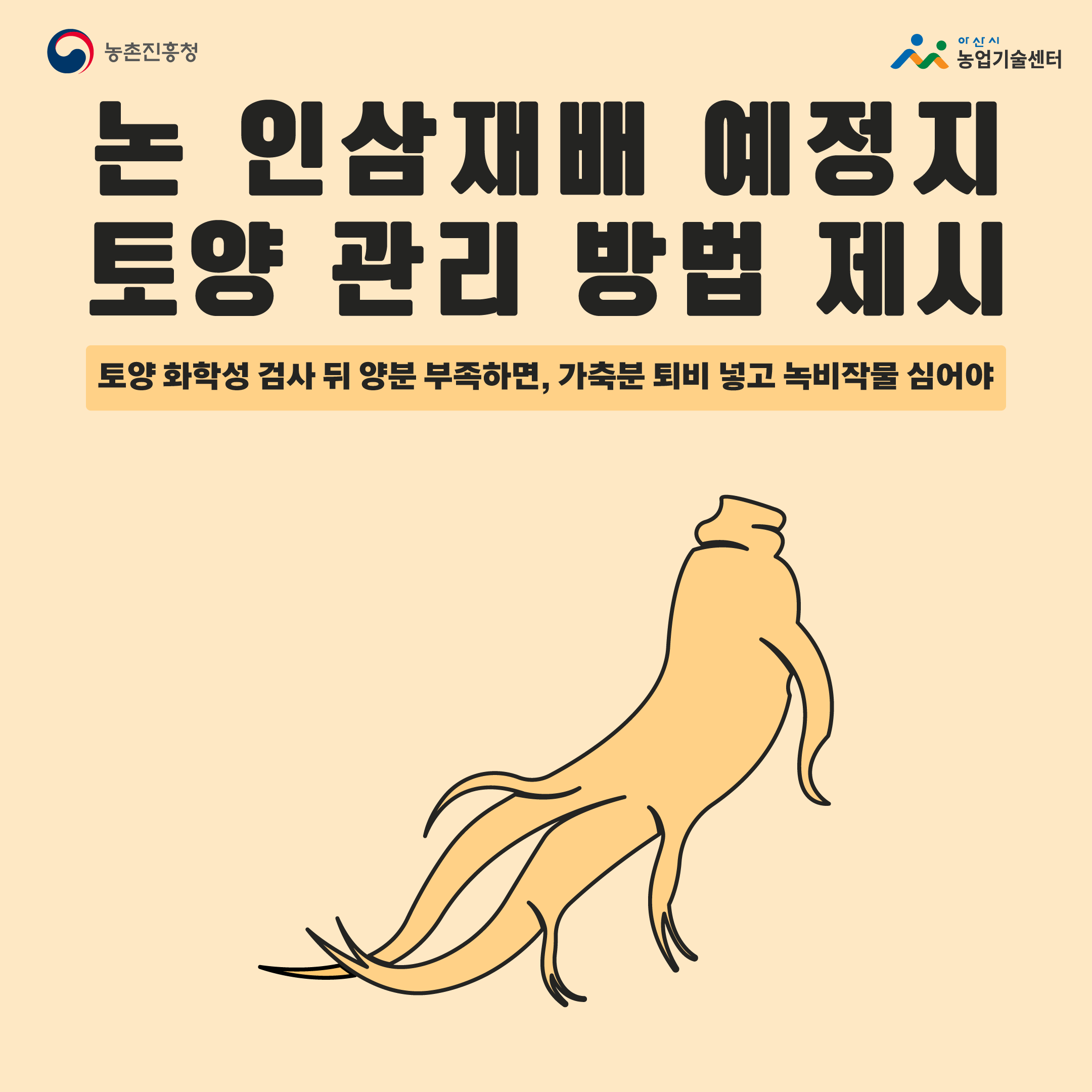 논 인삼재배 예정지 토양 관리 방법 제시