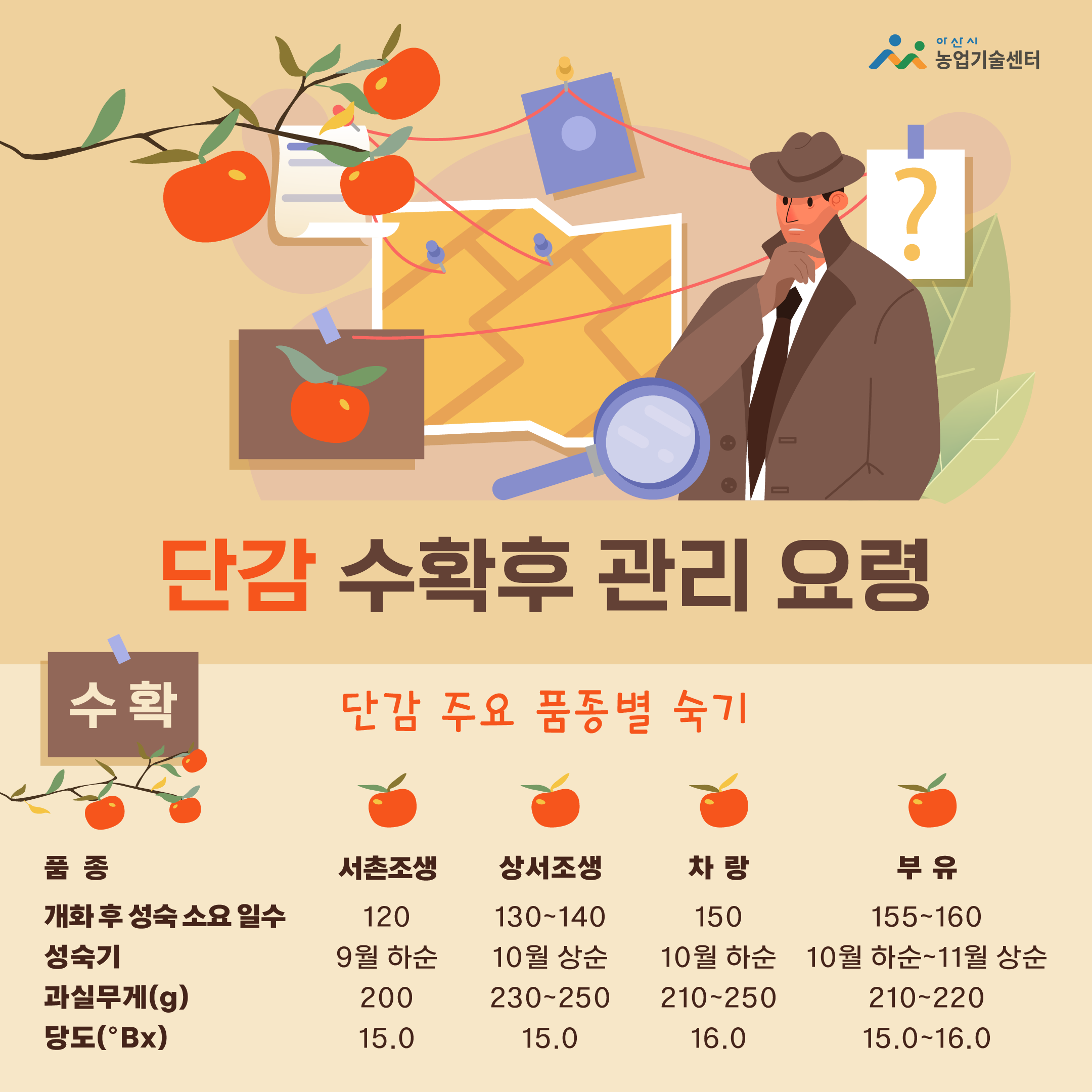 단감 수확 후 관리 요령