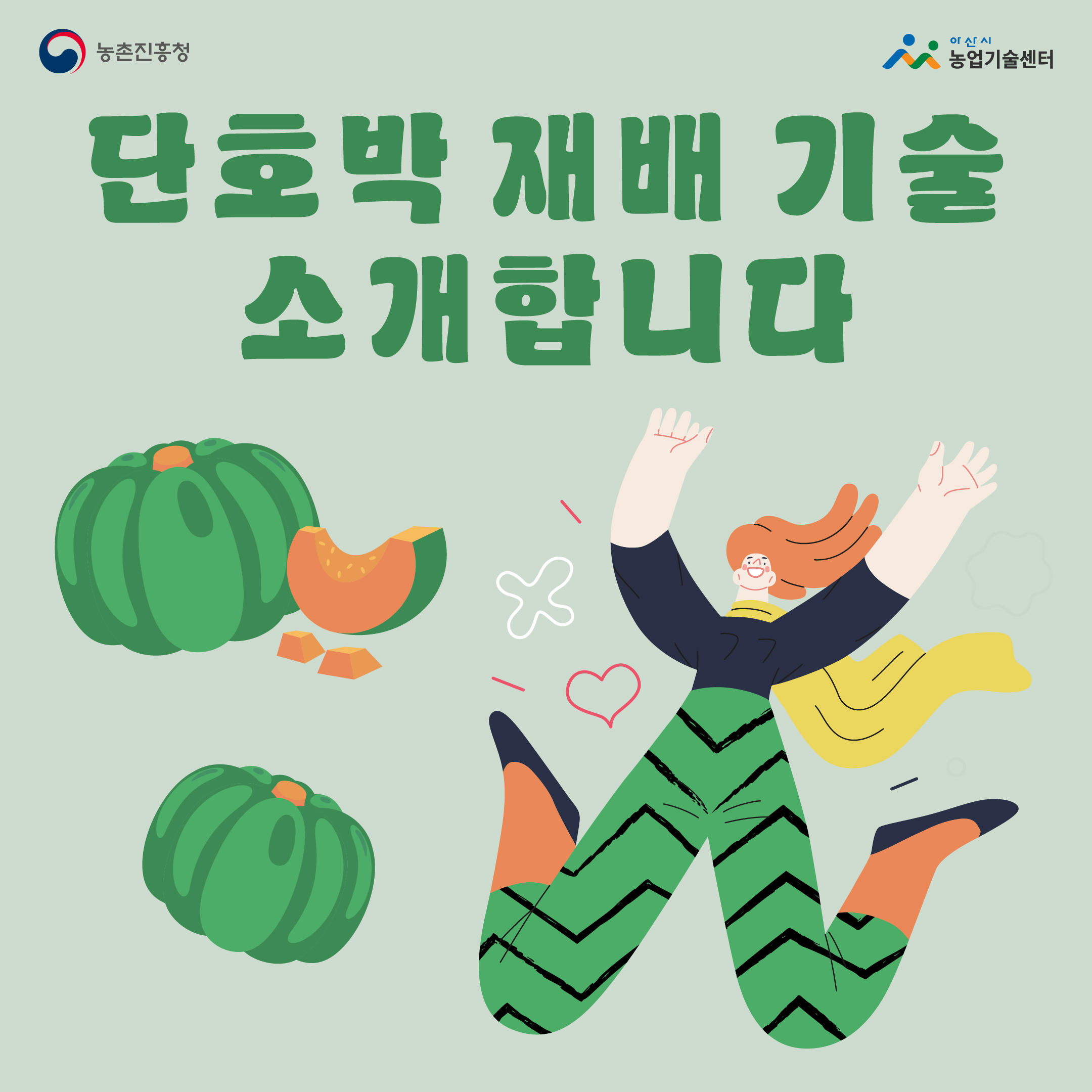 단호박 재배 기술을 소개합니다