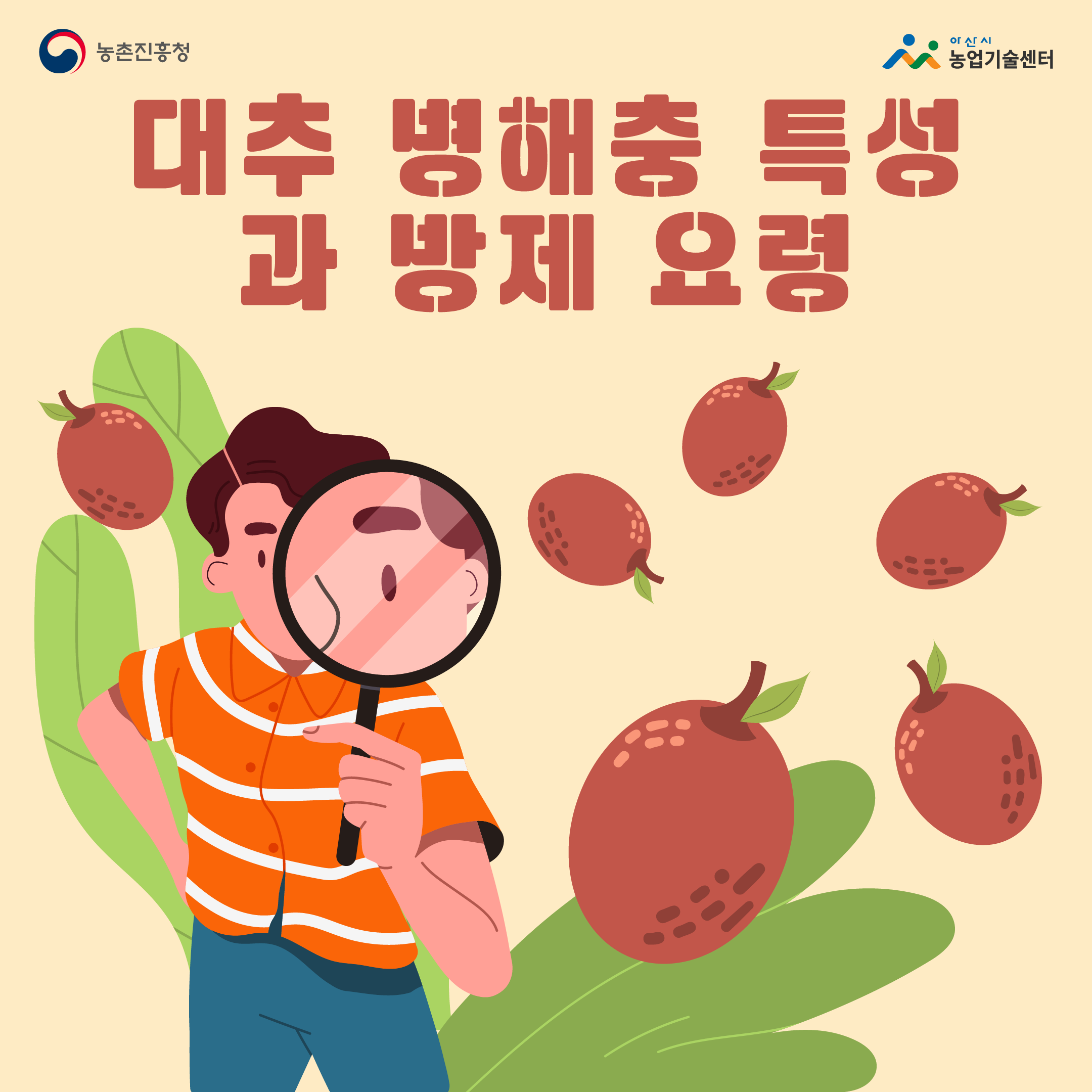 대추 병해충 특성과 방제 요령입니다