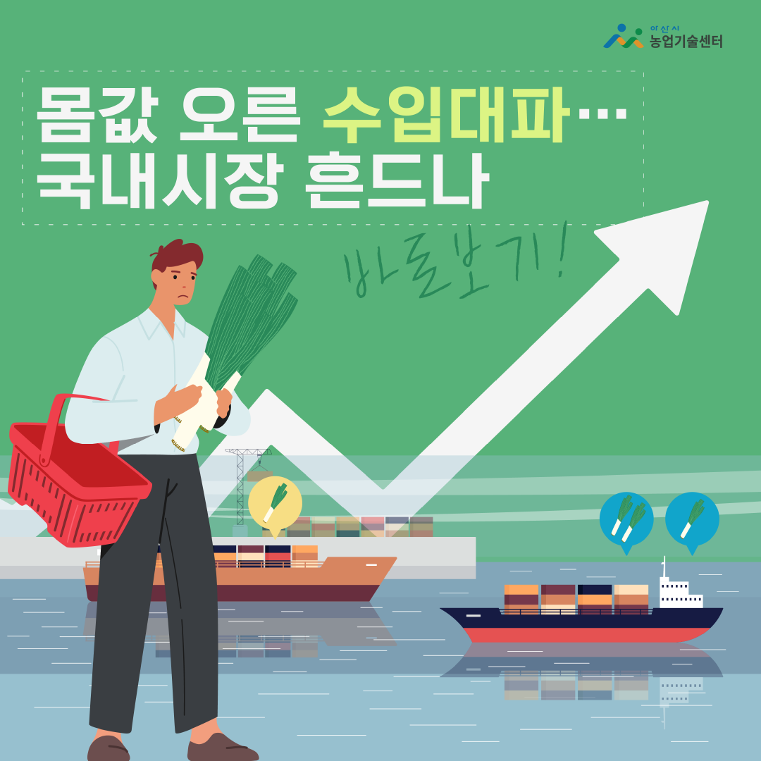 몸값 오른 수입대파…국내시장 흔드나