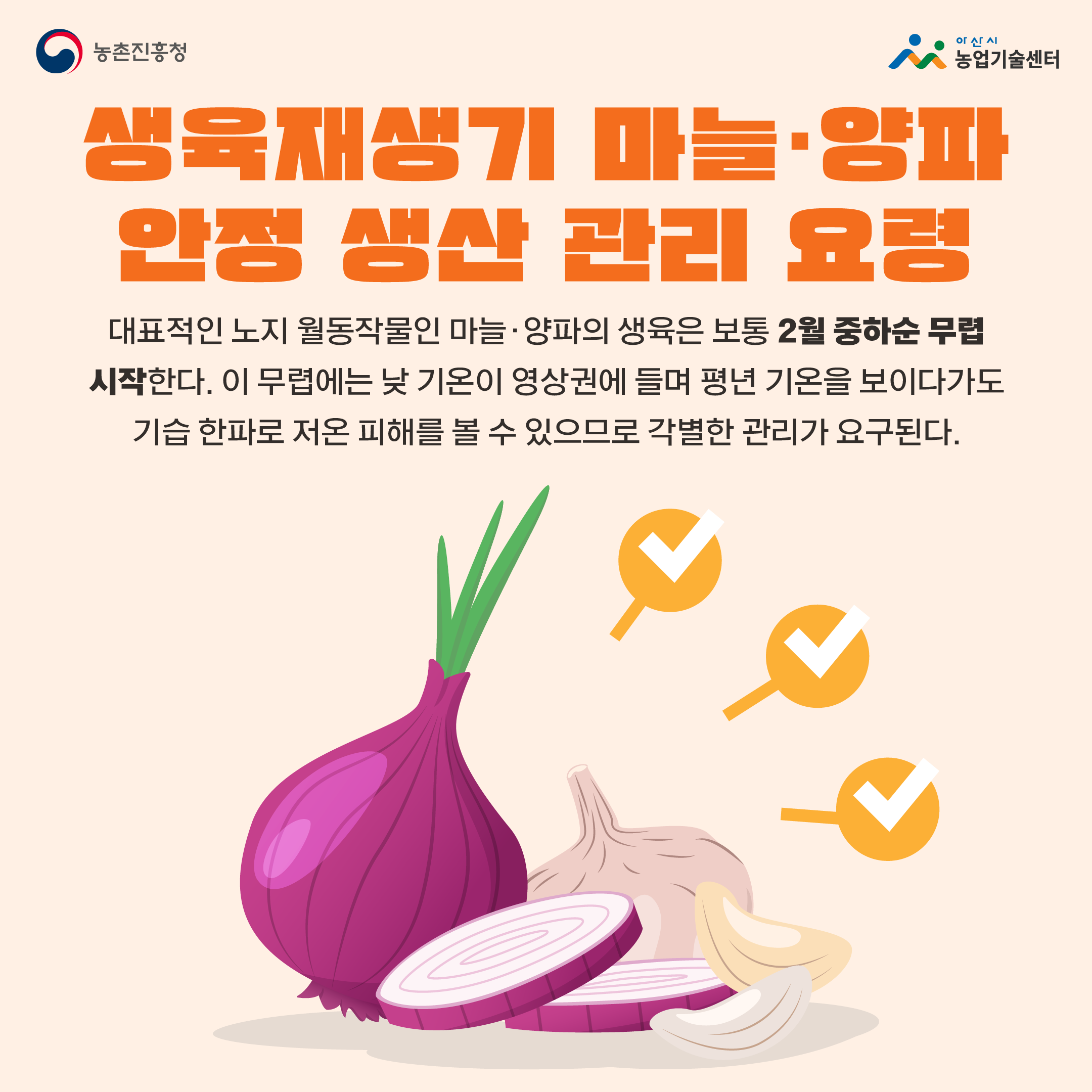생육재생기 마늘·양파 안정 생산 관리 요령