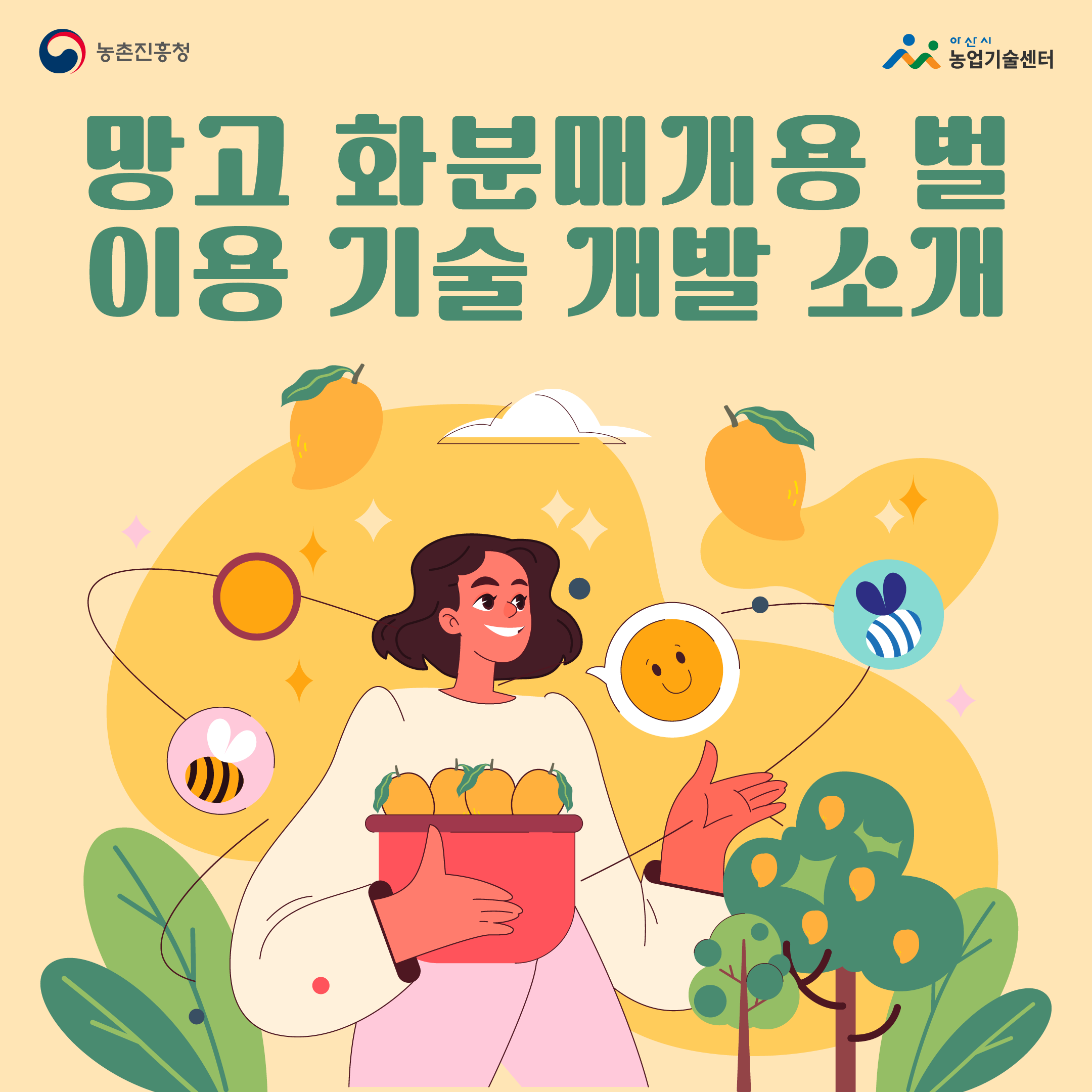 “망고” 화분매개용 벌 이용 기술 개발 소개