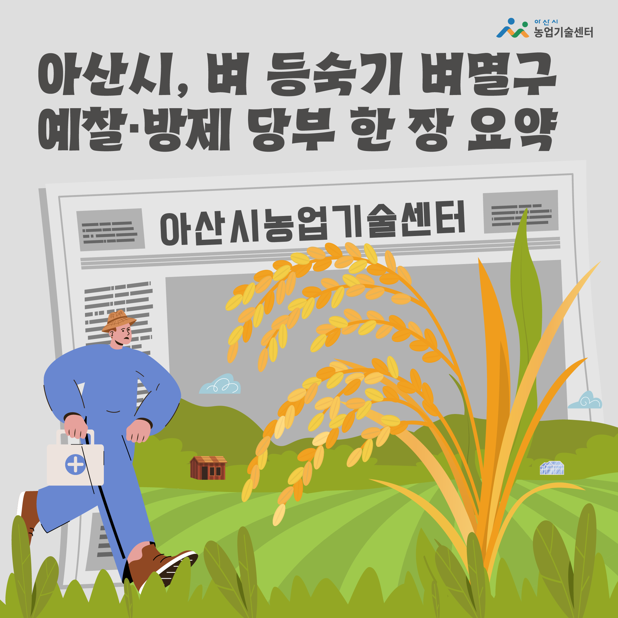 아산시, 벼 등숙기 벼멸구 예찰·방제 당부