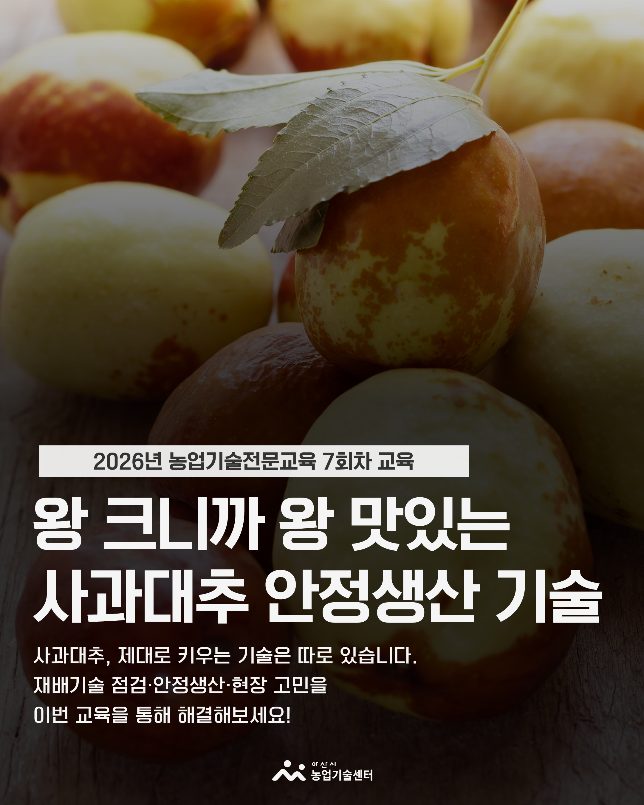 ｢2026년 농업기술전문교육｣ 알싸한 생강 안정재배 기술