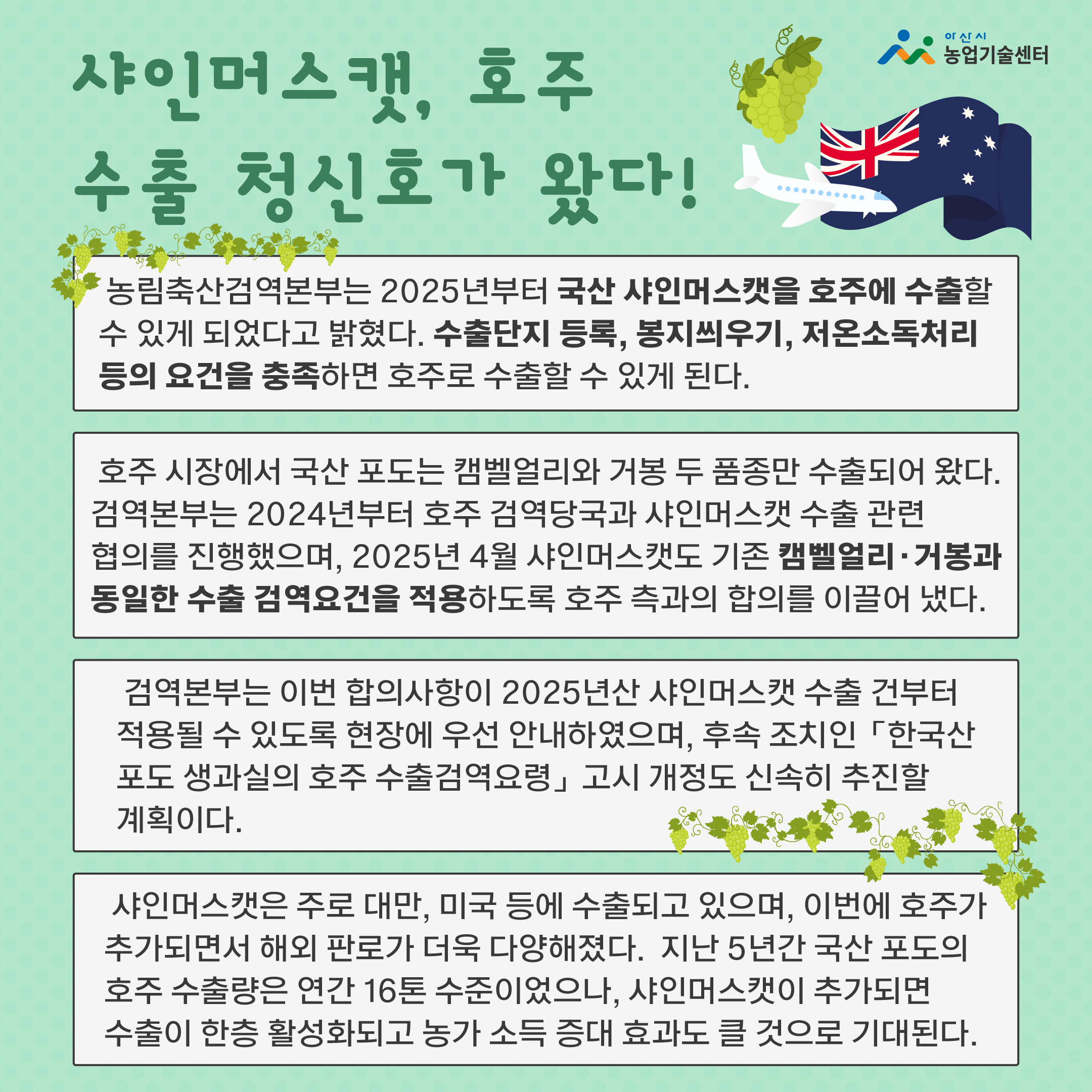 샤인머스캣, 호주 수출 청신호가 왔다! 한장 요약