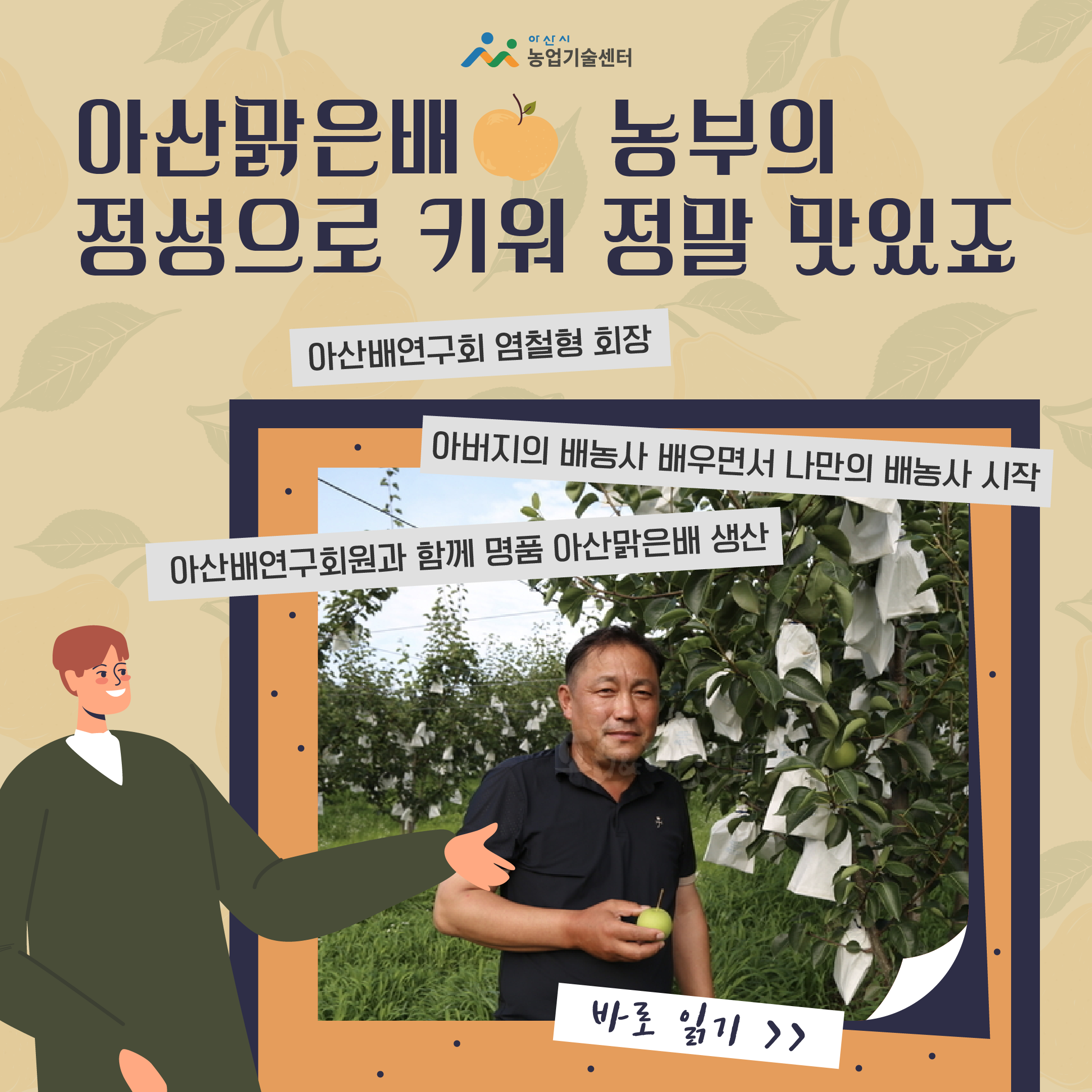 아산맑은배, 농부의 정성으로 키워 정말 맛있죠