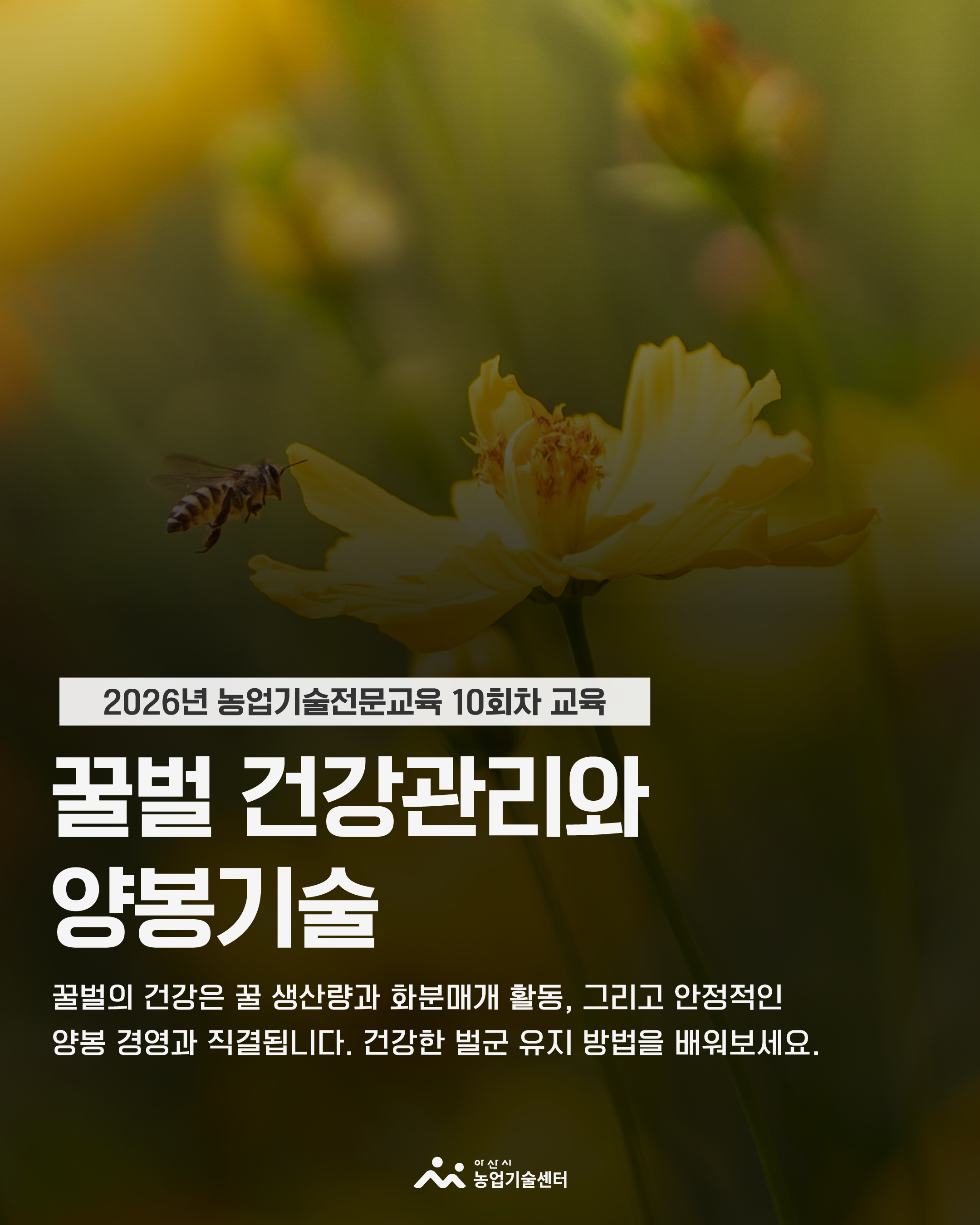 ｢2026년 농업기술전문교육｣ 꿀벌 건강관리와 양봉기술