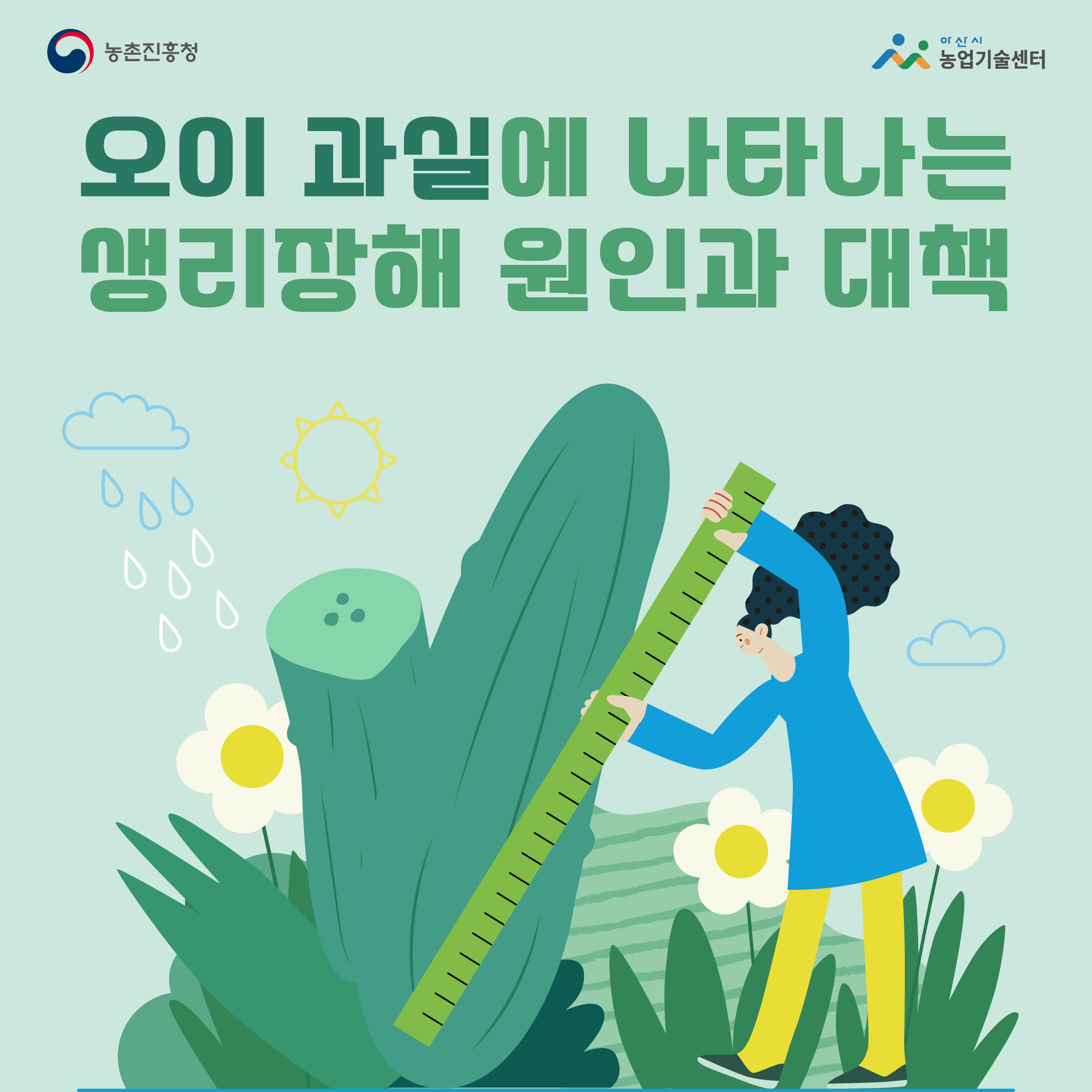 오이 과실에 나타나는 생리장해 원인과 대책