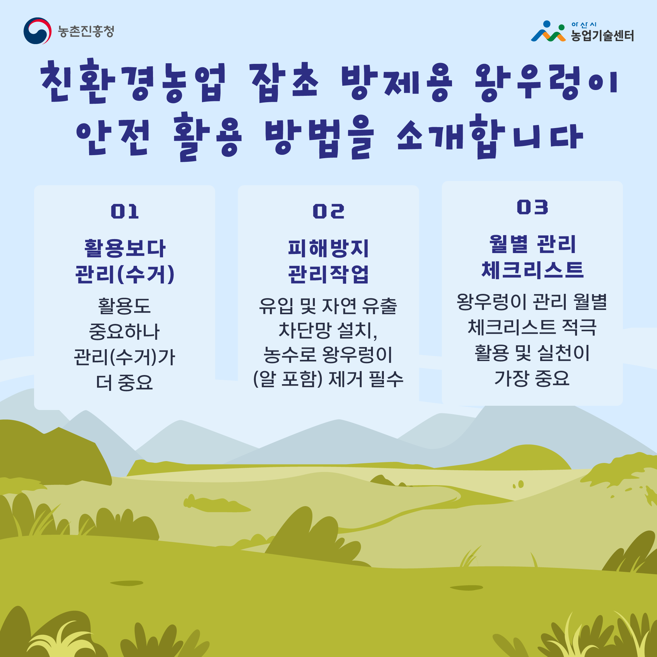 친환경농업 잡초 방제용 왕우렁이 안전 활용 방법을 소개 합니다