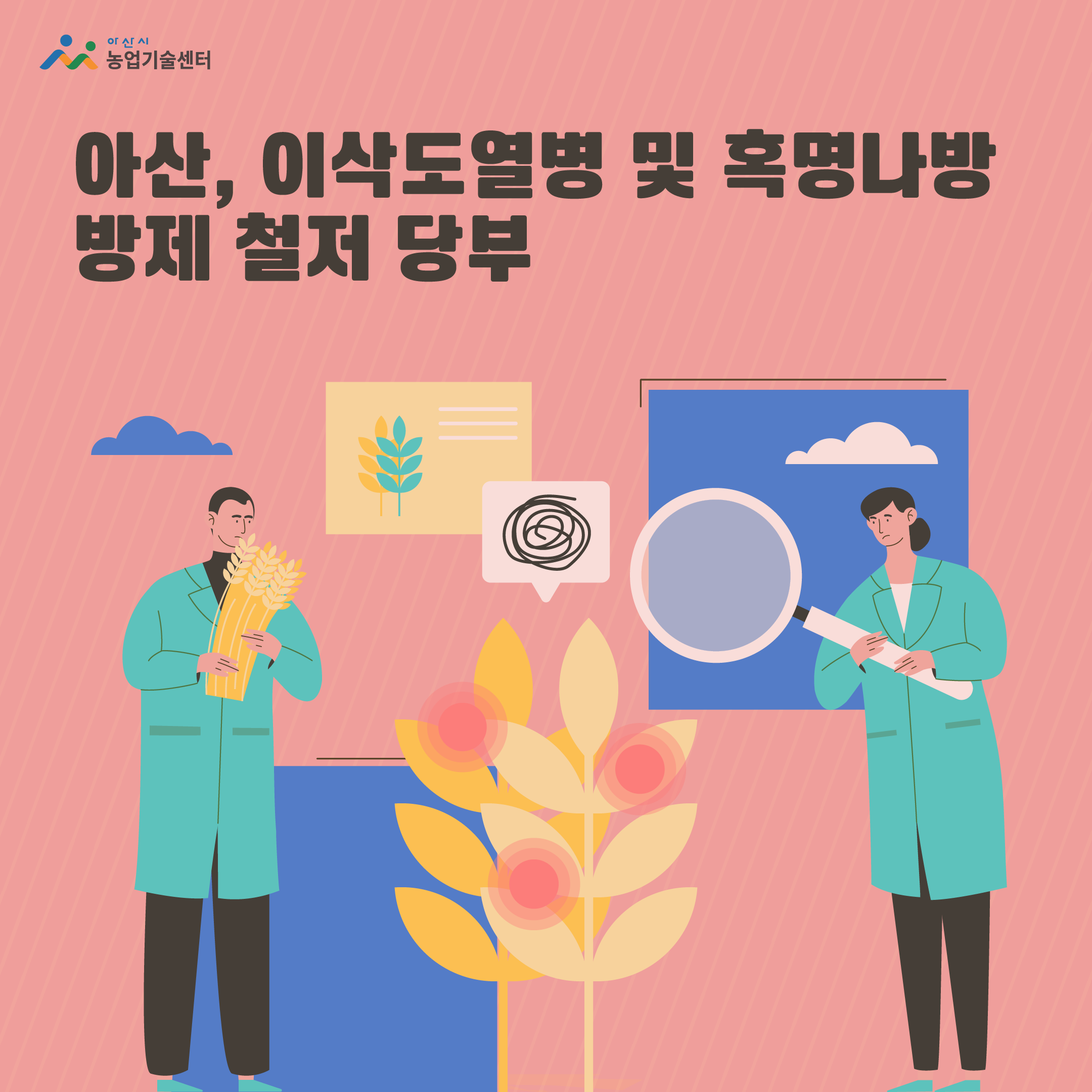 아산, 이삭도열병 및 혹명나방 방제 철저 당부
