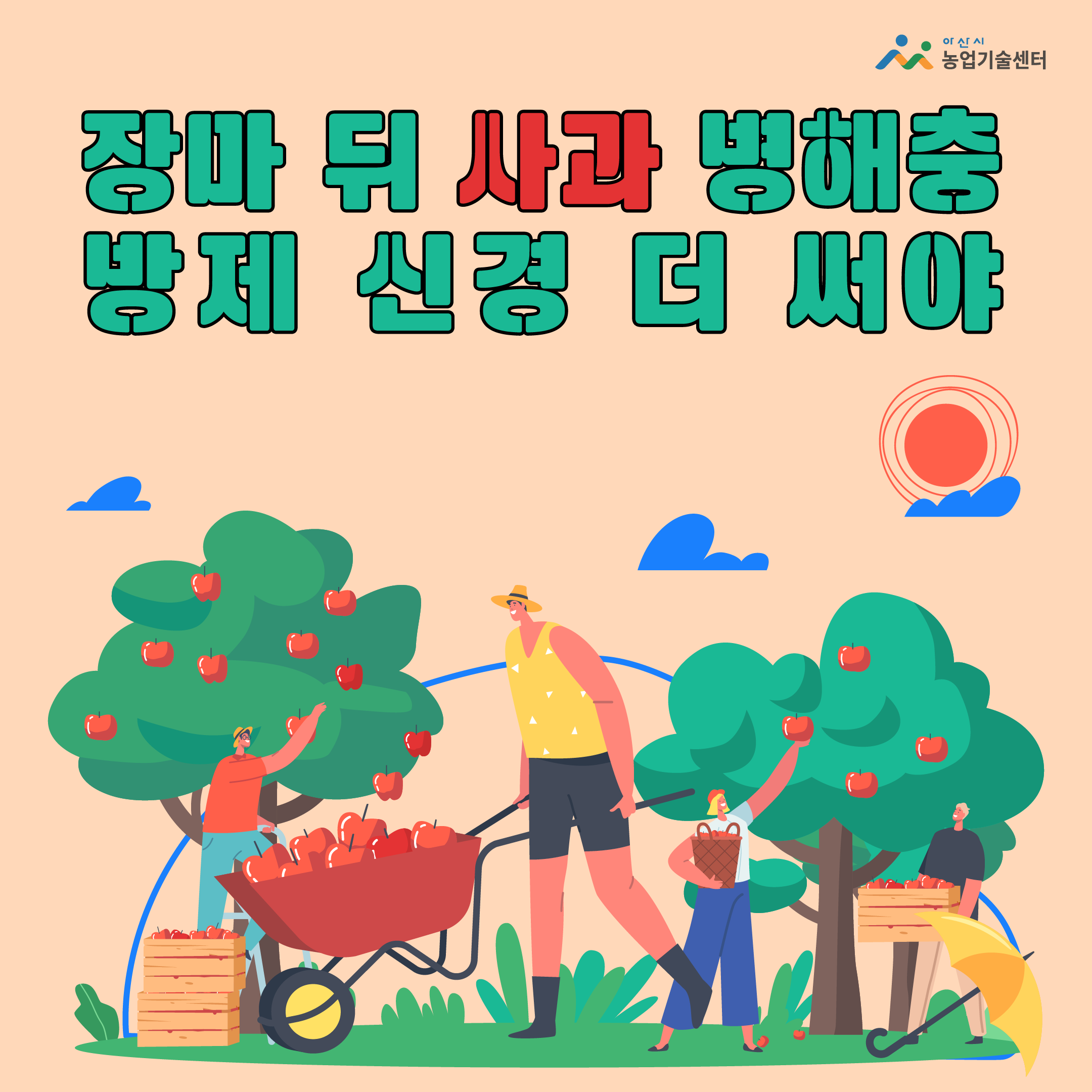 장마 뒤 사과 병해충 방제 신경 더 써야