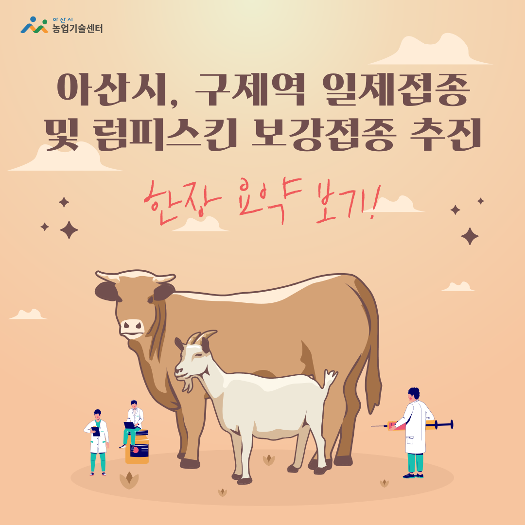 아산시, 구제역 일제접종 및 럼피스킨 보강접종 추진