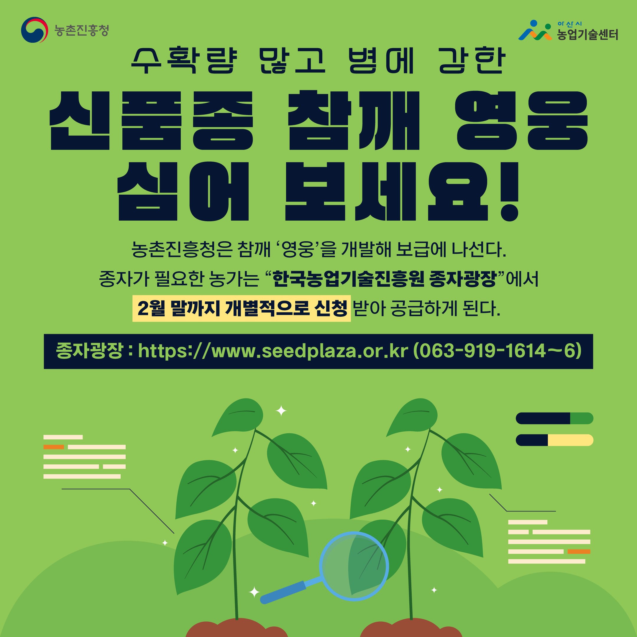수확량 많고 병에 강한 신품종 참깨 “영웅”을 심어 보세요!