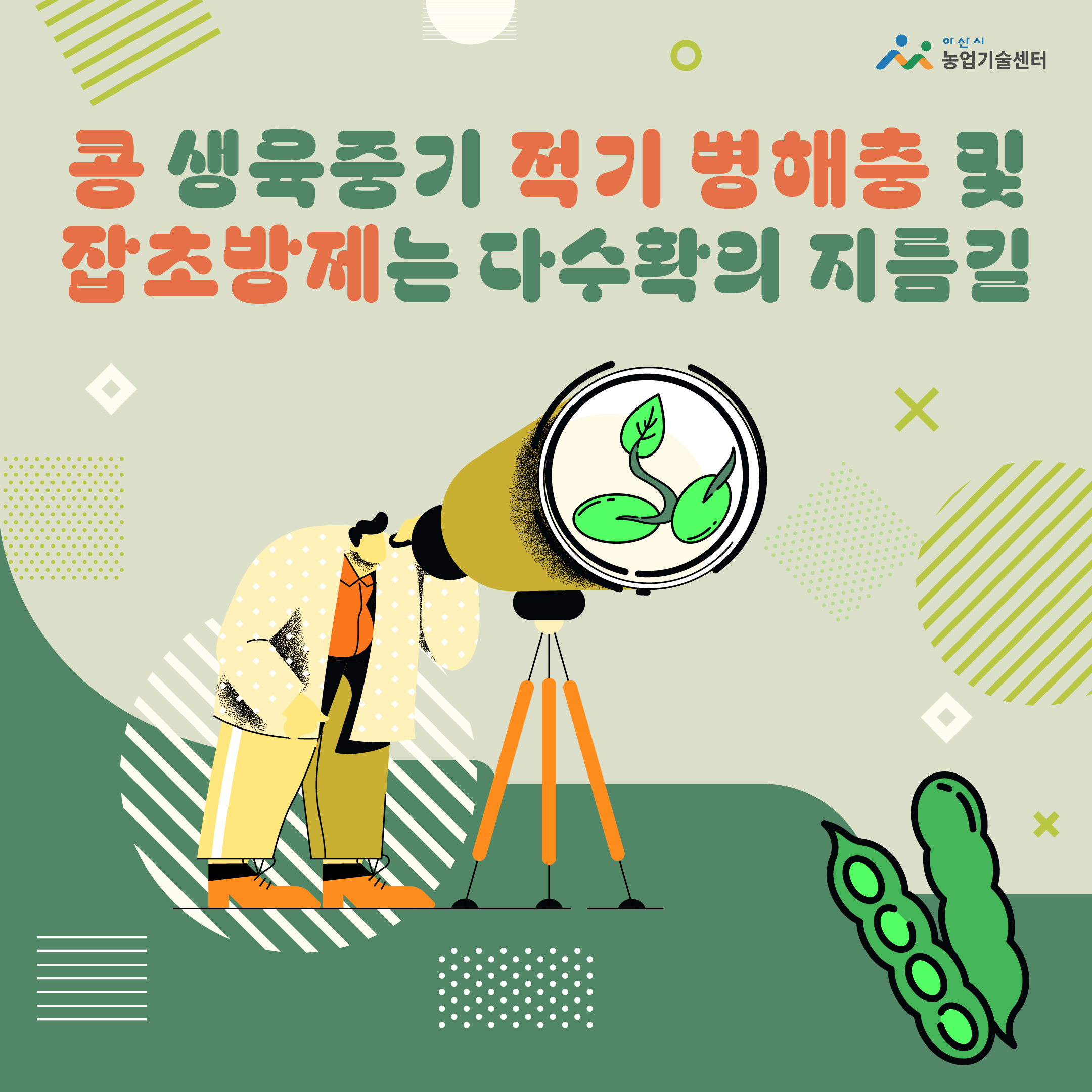 콩 생육중기 적기 병해충 및 잡초방제는 다수확의 지름길