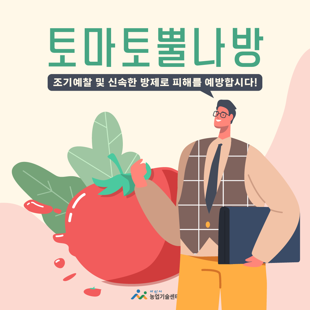 토마토뿔나방 조기예찰 및 신속한 방제로 피해를 예방합시다!