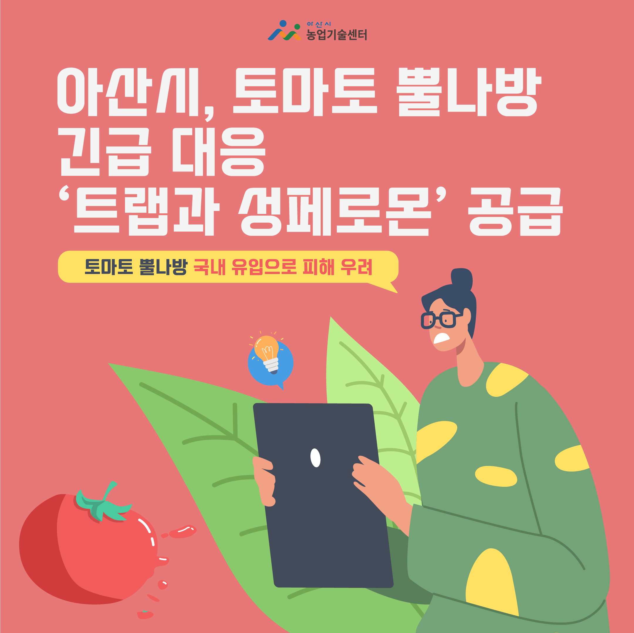 아산시 미디어, 『아산시, 토마토 뿔나방 긴급 대응 ‘트랩과 성페로몬’ 공급