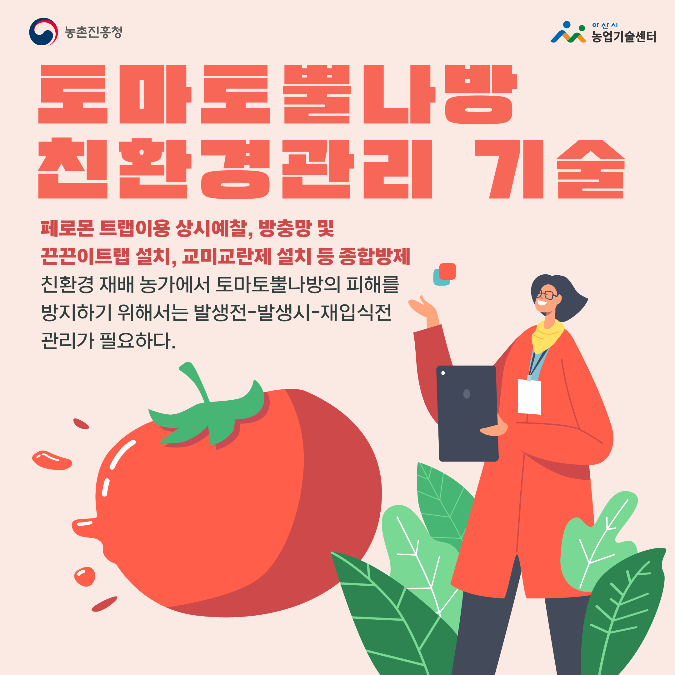 토마토뿔나방 친환경관리 기술
